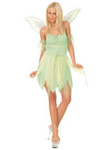 Neverland Fairy Costume