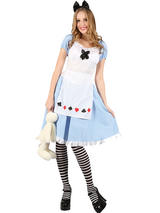Adorable Alice Costume