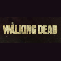 The Walking Dead Fancy Dress Costumes