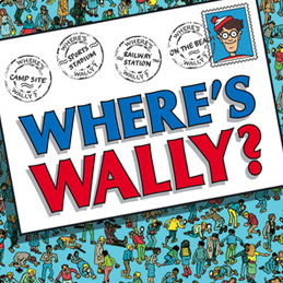 Where's Wally Fancy Dress Costumes