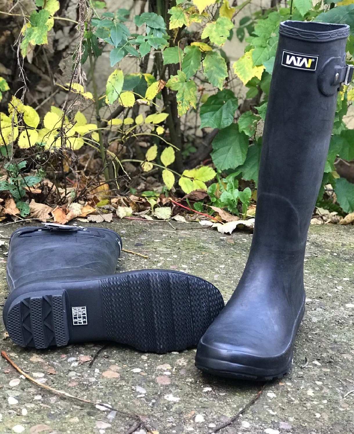 chippewa crazy horse