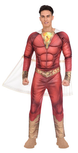 DC Comics Superhero Mens Fancy Dress Comic Hero World Book Day Adults Costumes - Picture 19 of 19