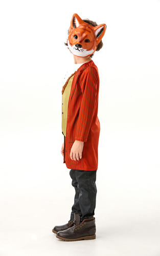 Mr Fantastic Fox Boys Fancy Dress Animal World Book Day Kids Childrens Costume 