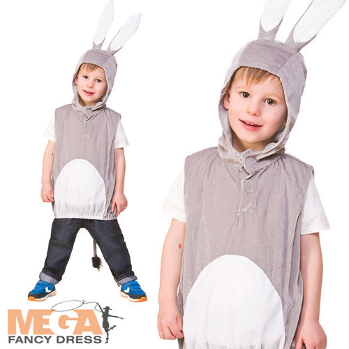 Tier Tabards Kinder Kostüm Wildtiere Natur Jungen Mädchen Buch Tag Kostüme Neu - Bild 8 von 18