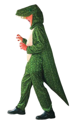 Dinosaurier Kostüm Jungen Mädchen Kinder Kind Tiere Buch Woche Kostüm Alter 4-12 - Bild 4 von 5