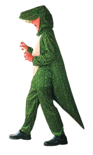 Dinosaurier Kostüm Jungen Mädchen Kinder Kind Tiere Buch Woche Kostüm Alter 4-12 - Bild 5 von 5