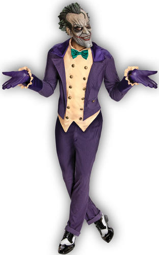 Halloween Villains Adults Fancy Dress Book Week DC Character Mens Ladies Costume - Picture 16 of 17