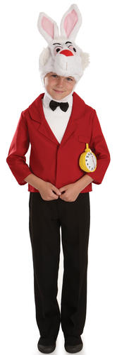 Alice In Wonderland Kids Story Fairytale World Book Day Child Childrens Costumes - Picture 3 of 41