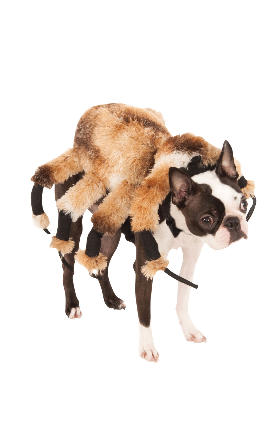 giant tarantula plush