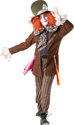 Mad Hatter Alice In Wonderland Mens Fancy Dress Adult Disney Book Costume Outfit