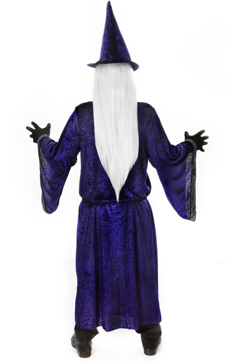 Merlin Wizard + Hat Mens Halloween Fancy Dress Adults Book Character ...