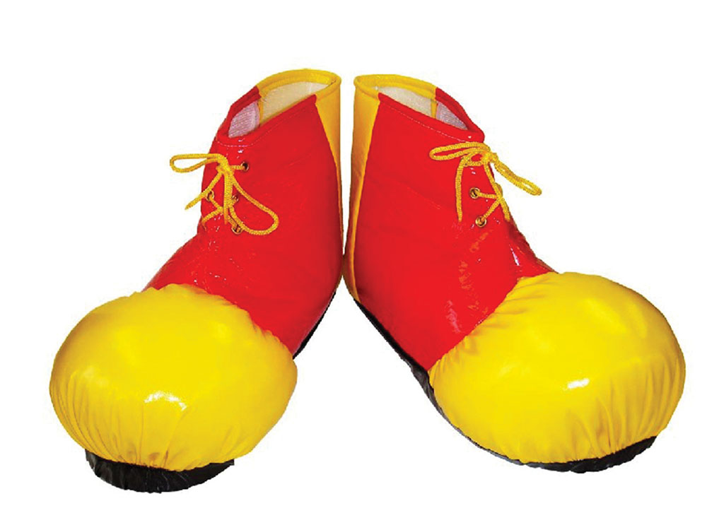 fancy dress shoe covers