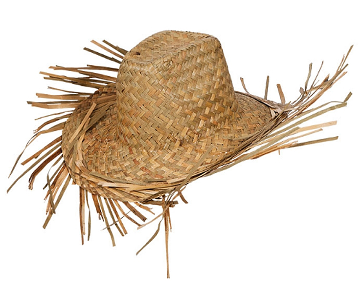 mens tropical straw hats