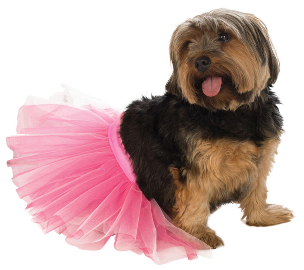 Pink Tutu Pet Dog Costume Letter "B" Costume Ideas Mega Fancy Dress
