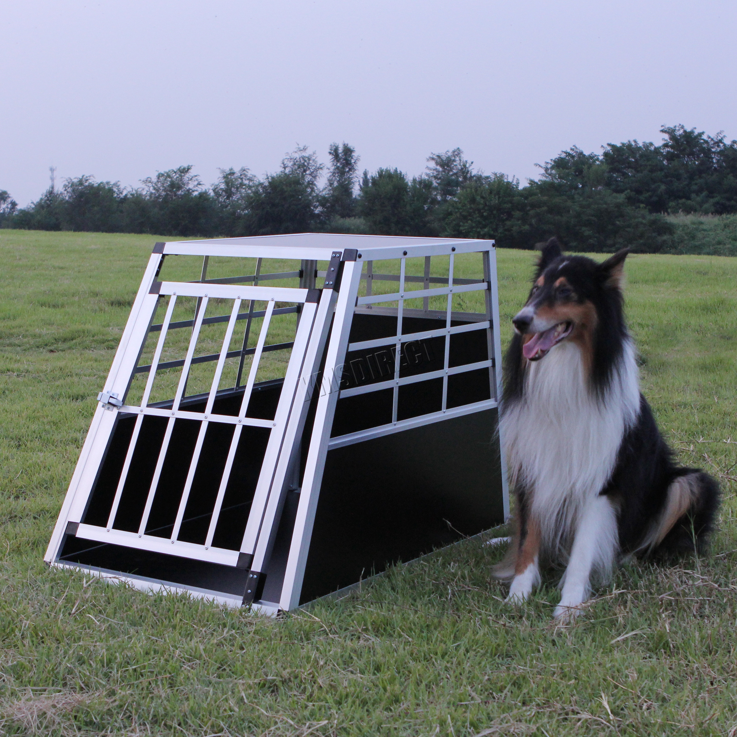 travel dog cage large