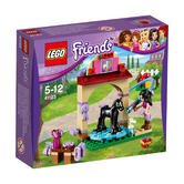 41123 LEGO Foal's Washing Station FRIENDS