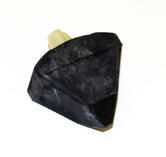 Peugeot 106 Rear Bump Stop (1) 48mm S1 91-96 inc XS XSi RALLYE - Genuine Peugeot