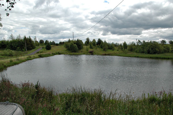 Picture 5