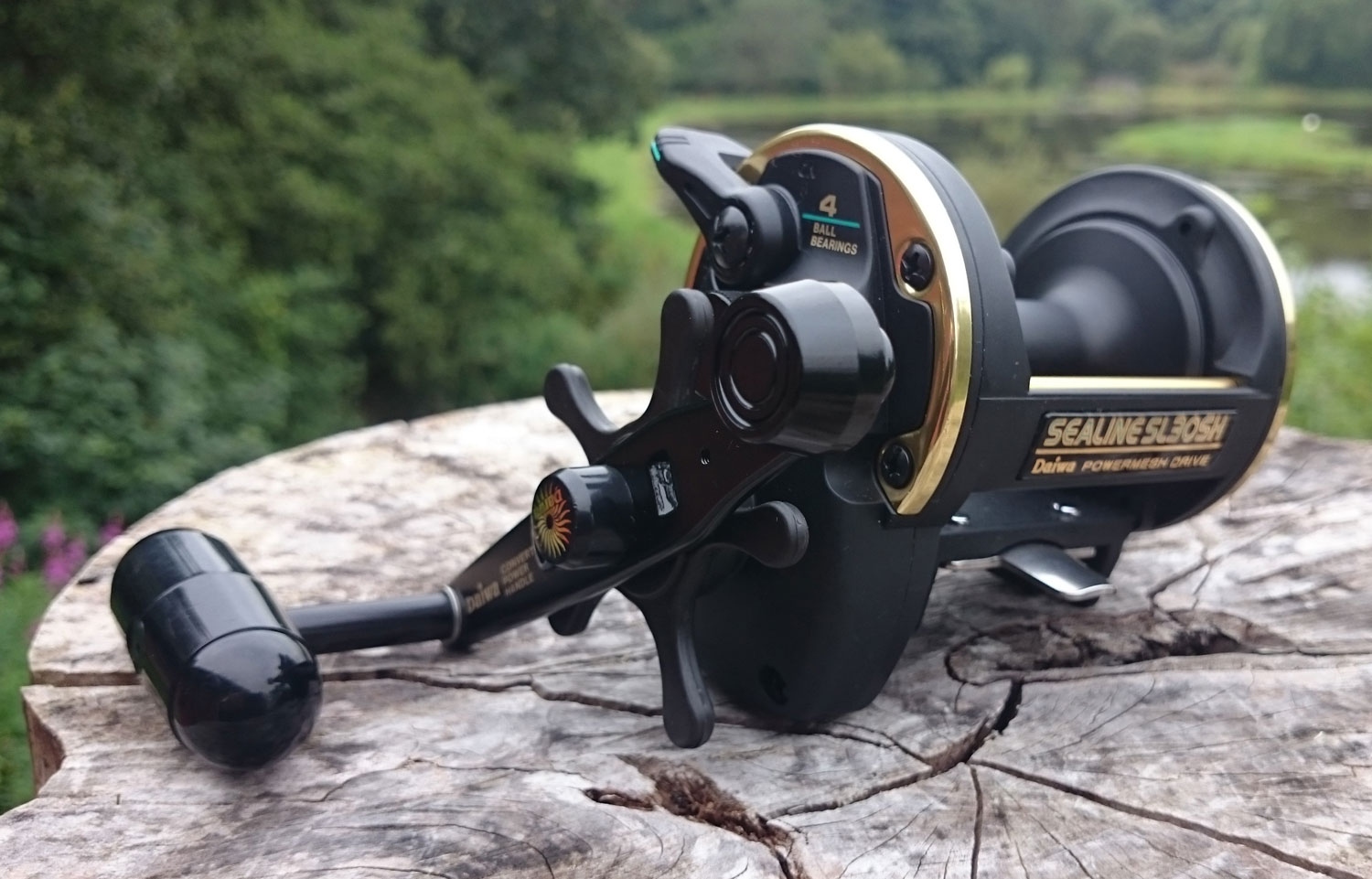 daiwa sealine sl30sh