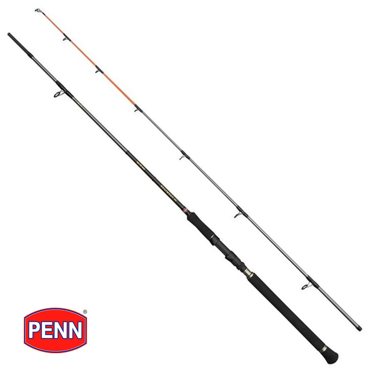 Penn Regiment IV Mk4 Spin & Pilk Saltwater Fishing Rod – All Models