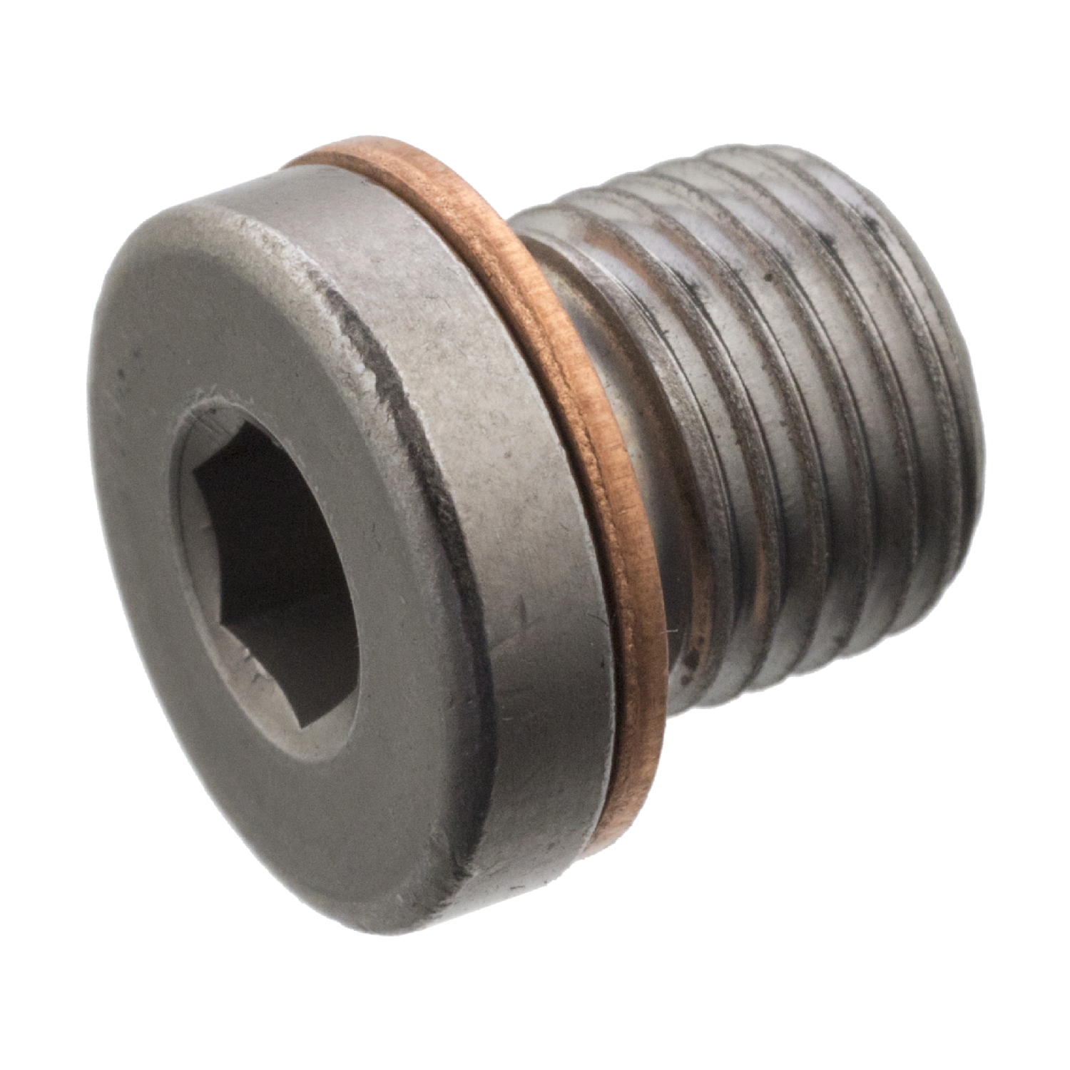 Screw Plug Screw 101021 by Febi Bilstein OE N 902 818 02 eBay