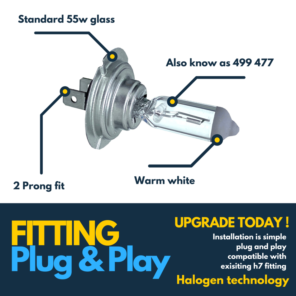 Fits Citroen Headlight Bulbs DS3 DS4 DS5 C3 C4 Picasso C5 C6 C8 Halogen