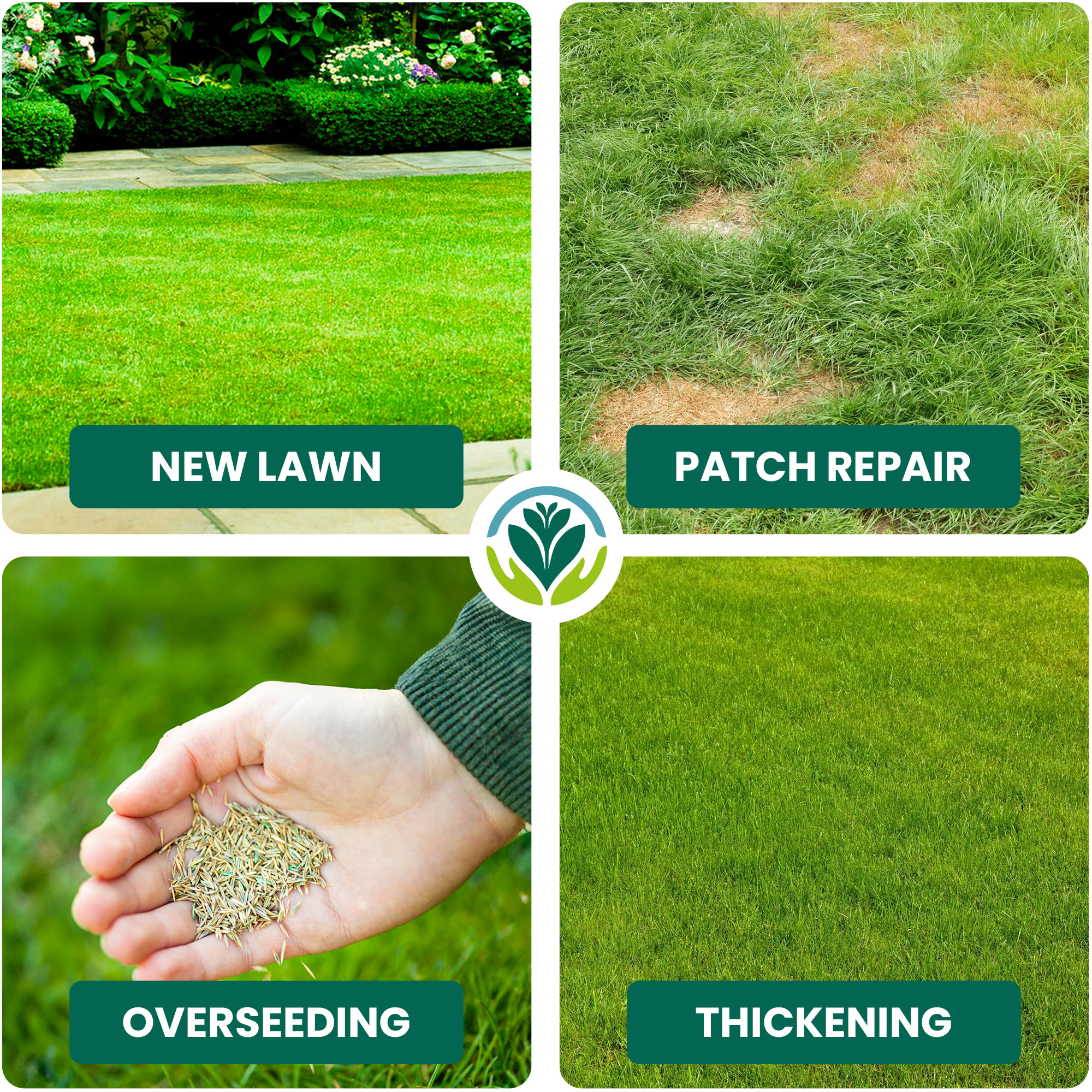 GARDENERS DREAM SHADY LAWN DARK AREA UNDER TREES QUALITY ASSURED GRASS SEED - Picture 13 of 55