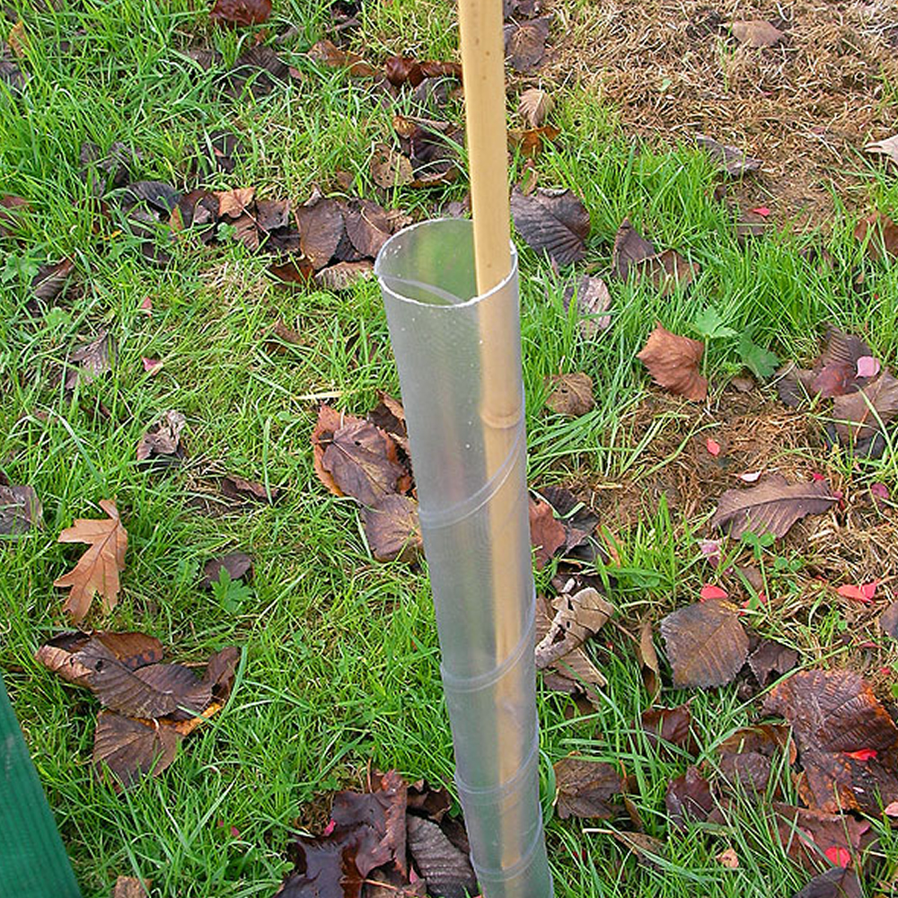 5 X 2FT/50MM Clear Spiral Tree Guards Plant Rabbit Protection And