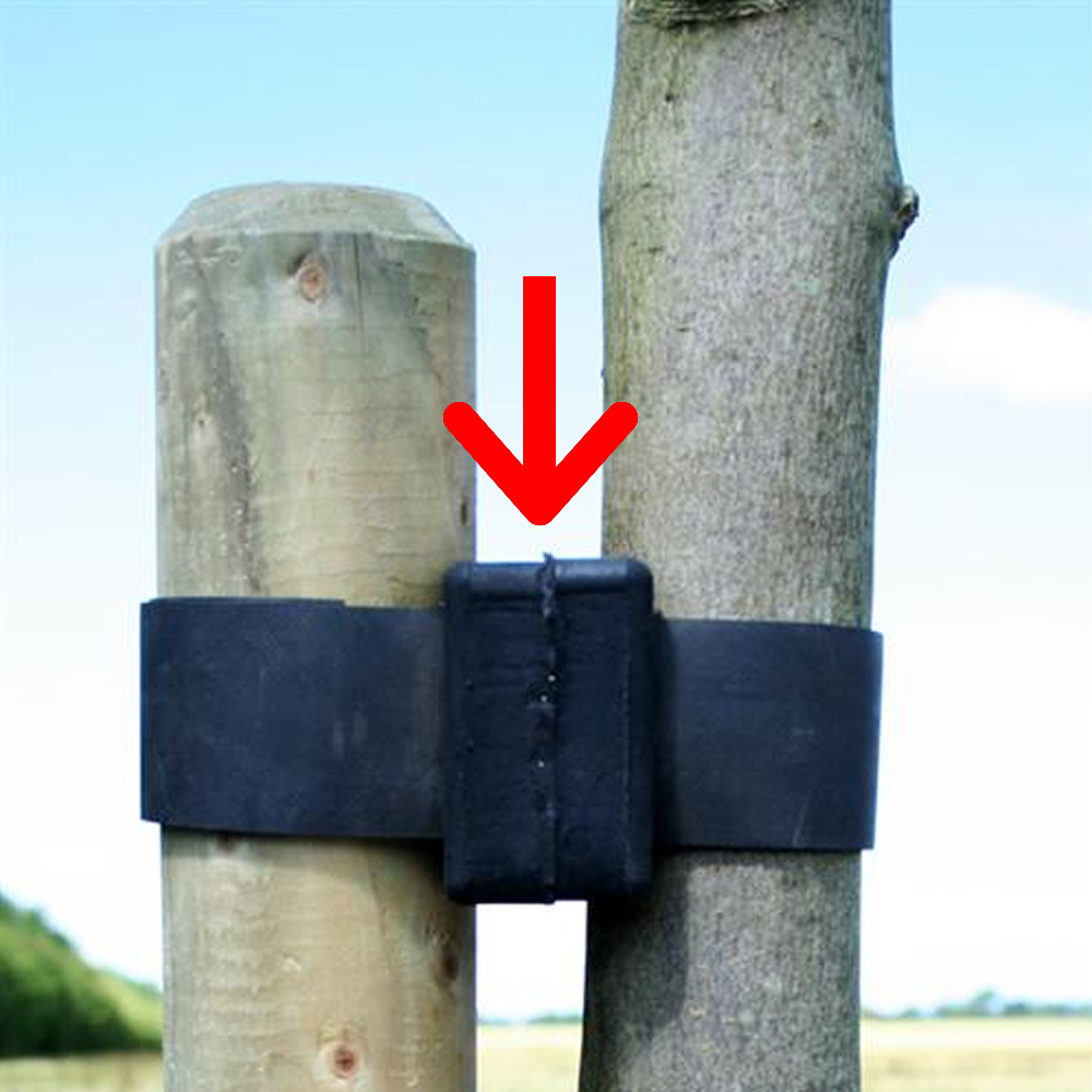 RUBBER TREE STRAPPING SPACERS & CUSHIONS FOR TREE TIES PLANT SUPPORT eBay