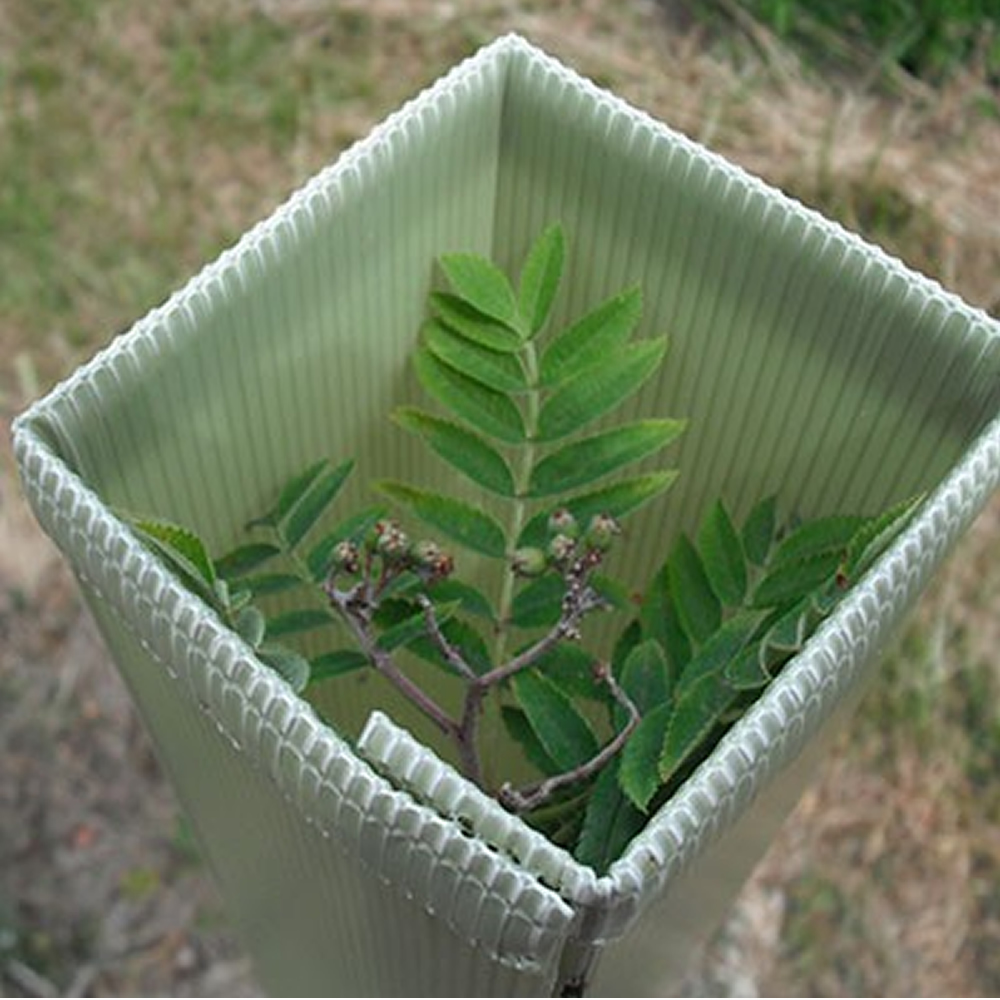 2FT DEFENDER PRO PLASTIC TREE &amp; SHRUB SHELTER GUARD RABBIT