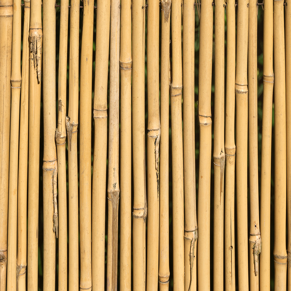 GroundMaster Garden Bamboo Canes Quality Strong Sturdy Plant Support Poles eBay