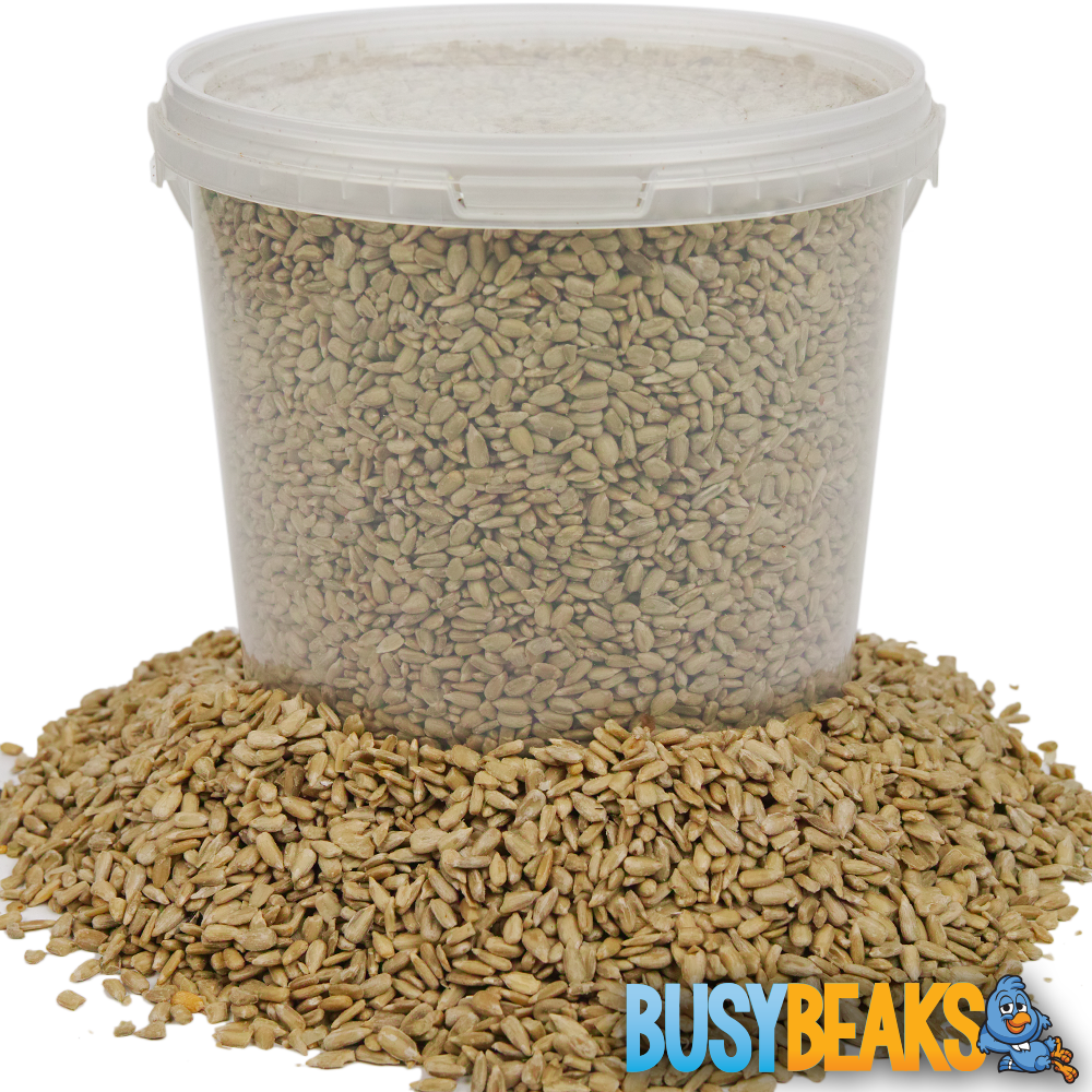 BusyBeaks Sunflower Hearts Kernels Bird Seed Bakery Grade Food for