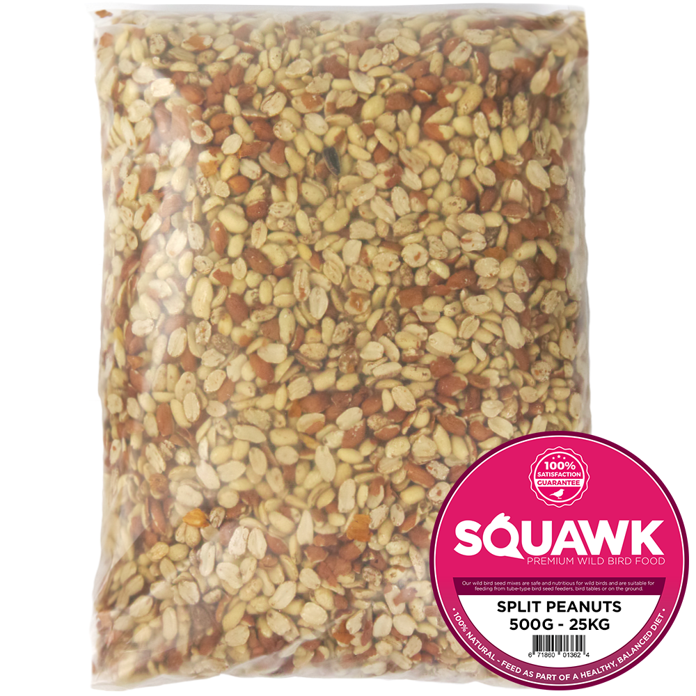 SQUAWK Split Peanuts Wild Bird Premium Grade Garden Birds Fresh Food