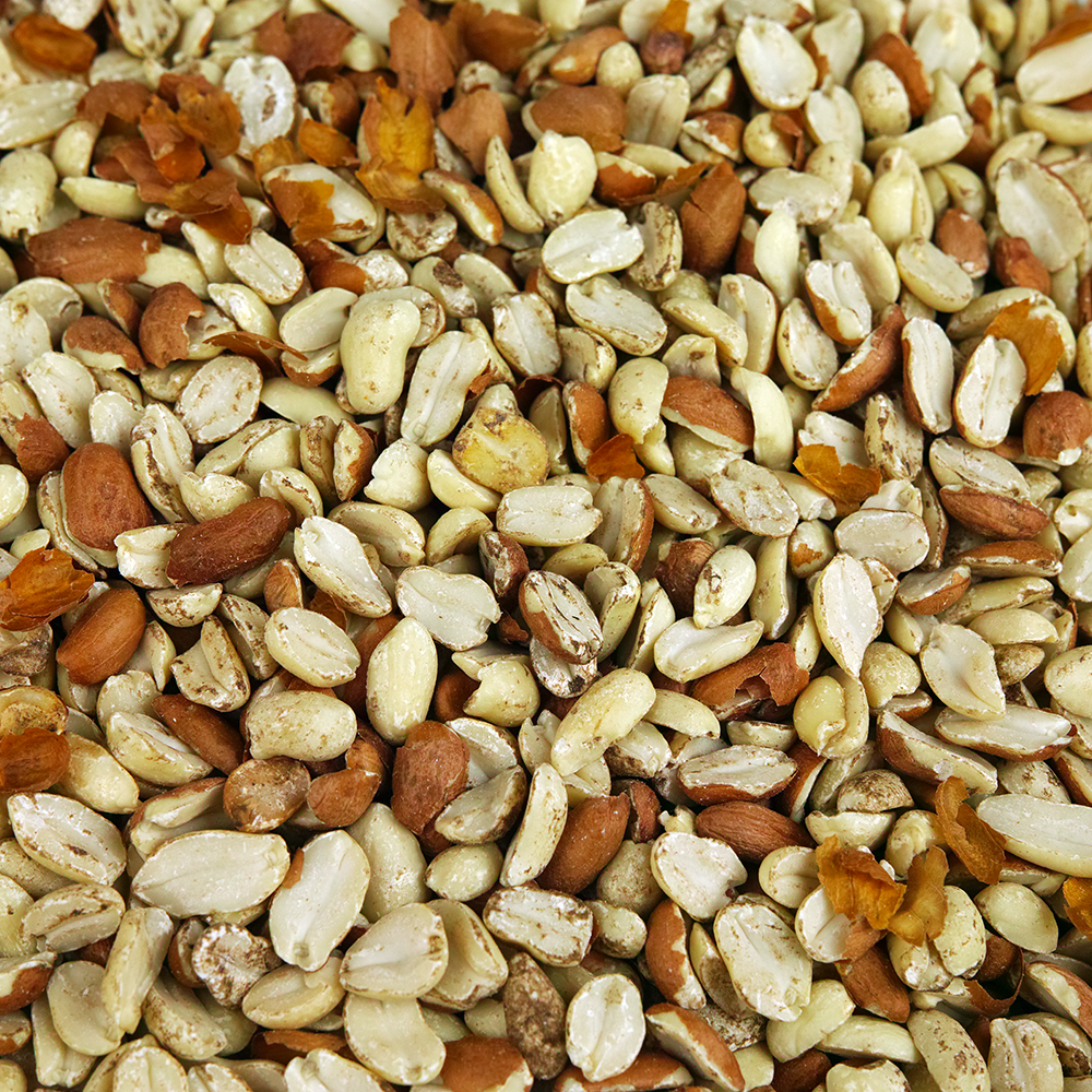 SQUAWK Split Peanuts Wild Bird Premium Grade Garden Birds Fresh Food