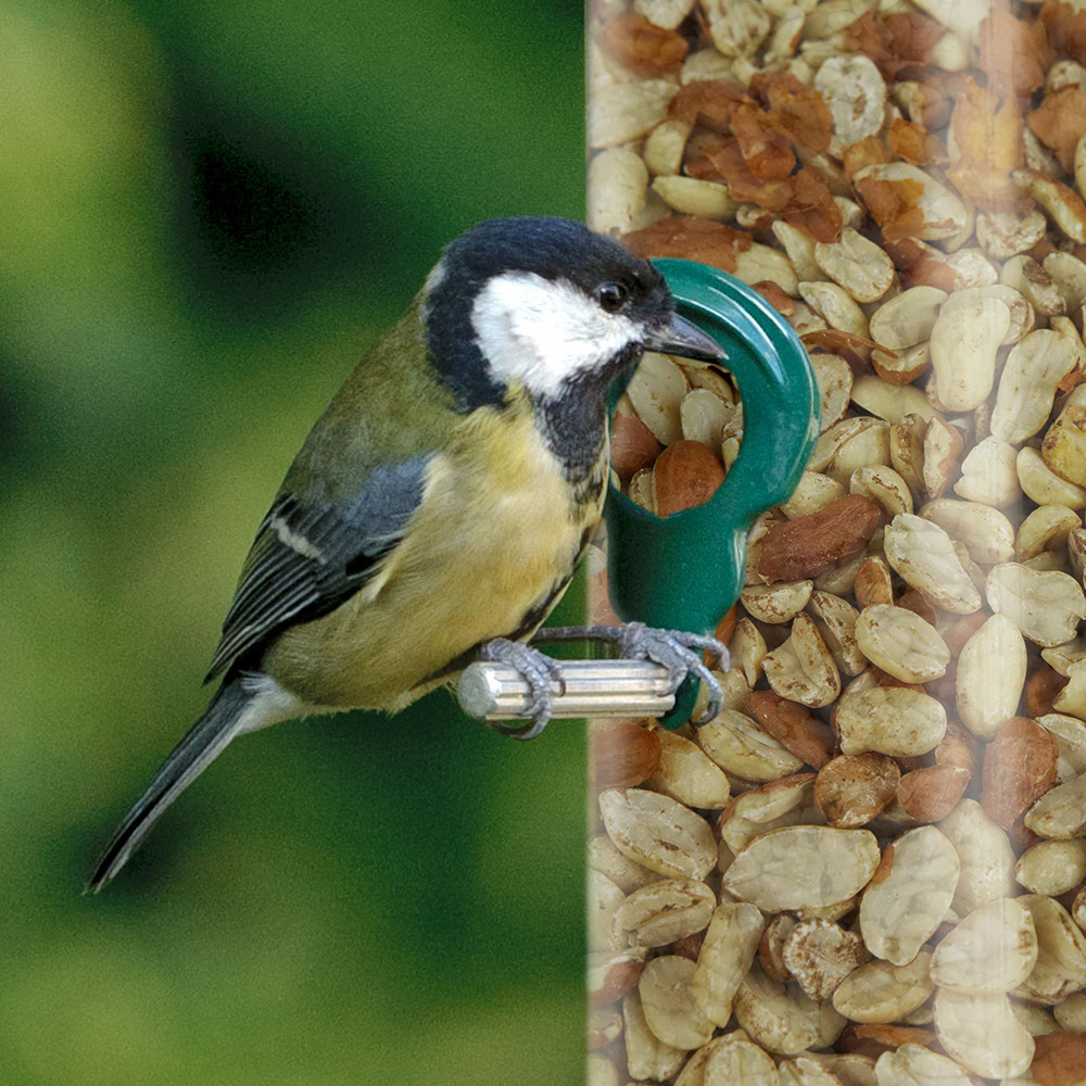 SQUAWK Split Peanuts Wild Bird Premium Grade Garden Birds Fresh Food