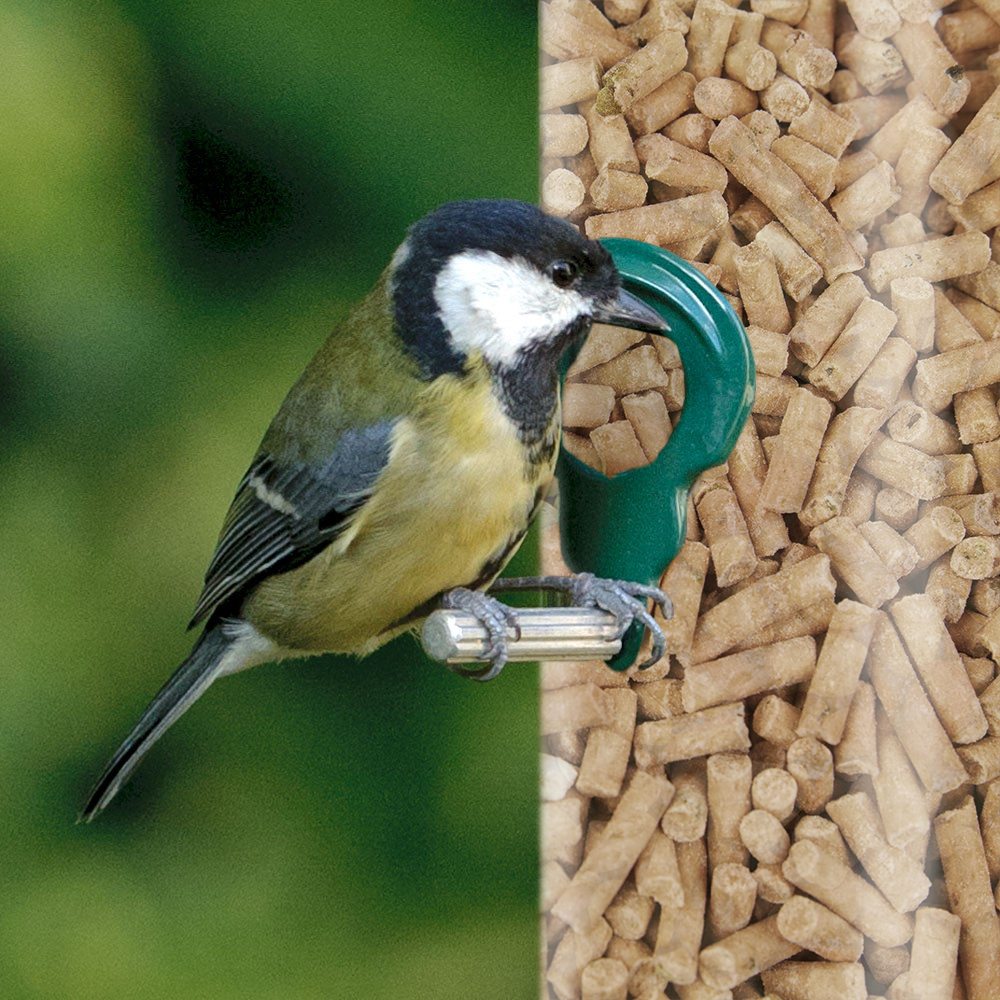 Squawk Mealworm Suet Pellets Quality High Energy Garden Wild