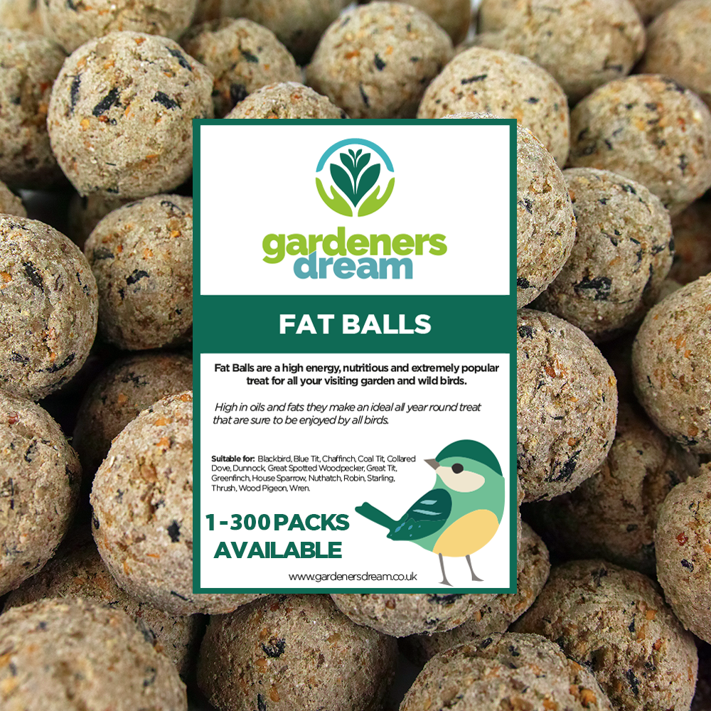 Winston Wilds Finest Berry Suet Pellets 3kg