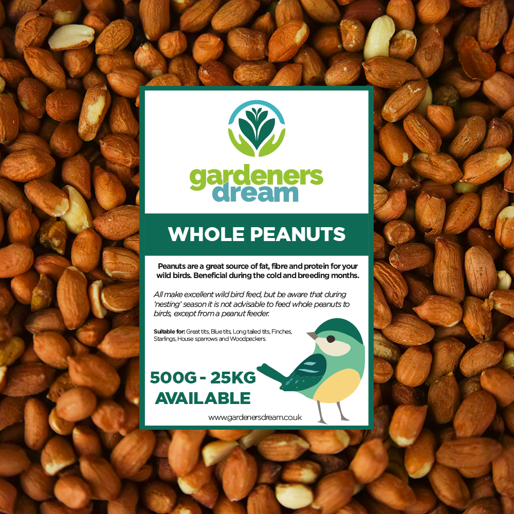 GardenersDream Whole Peanuts Fresh Premium Wild Bird Seed Garden Food