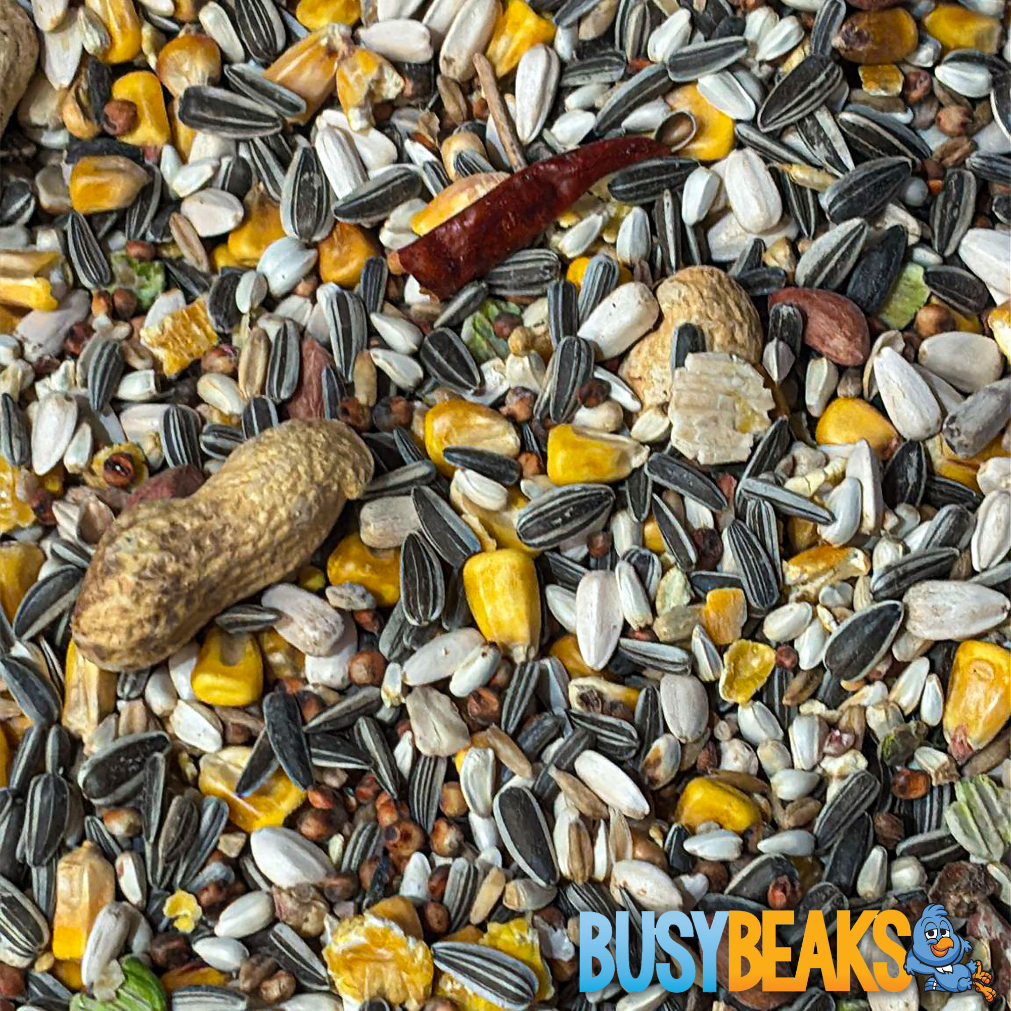 BusyBeaks African Grey Parrot Food - High Energy Bird Nuts Seeds Oats Feed Mix - Picture 15 of 46