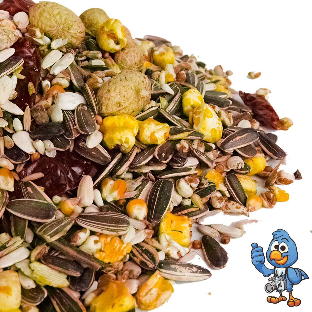 BusyBeaks African Grey Parrot Food - High Energy Bird Nuts Seeds Oats Feed Mix - Picture 20 of 46