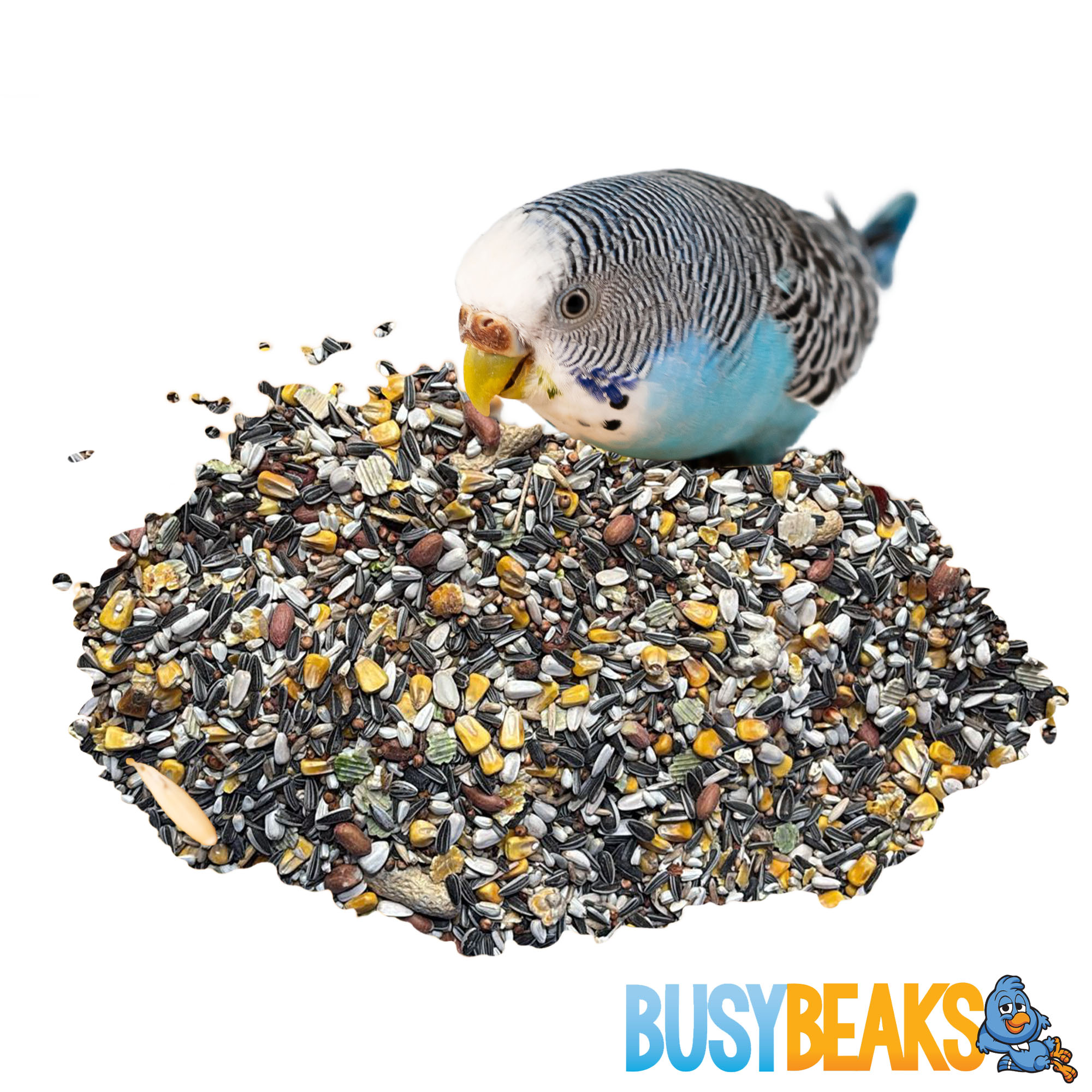 BusyBeaks African Grey Parrot Food - High Energy Bird Nuts Seeds Oats Feed Mix - Picture 45 of 46