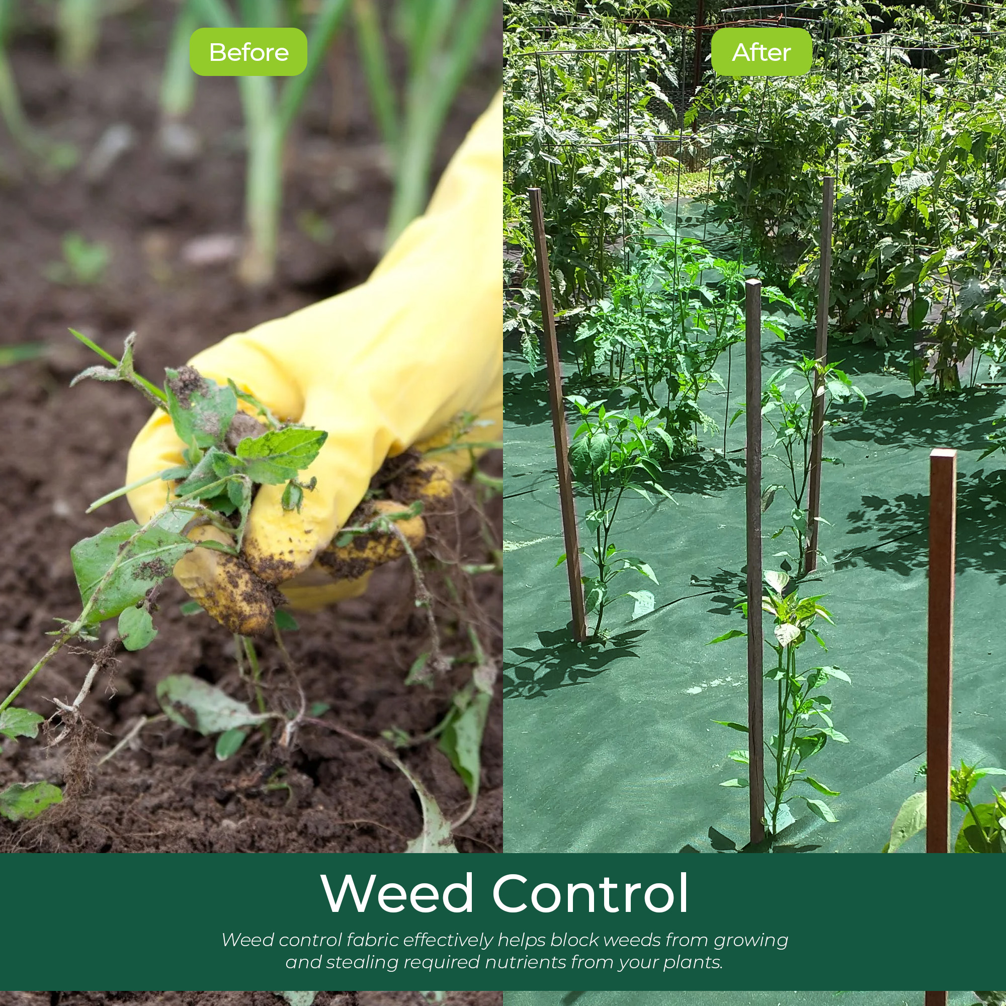 GardenersDream Green Extra Strong 125gsm Weed Suppressant Membrane Porous Fabric - Picture 19 of 68