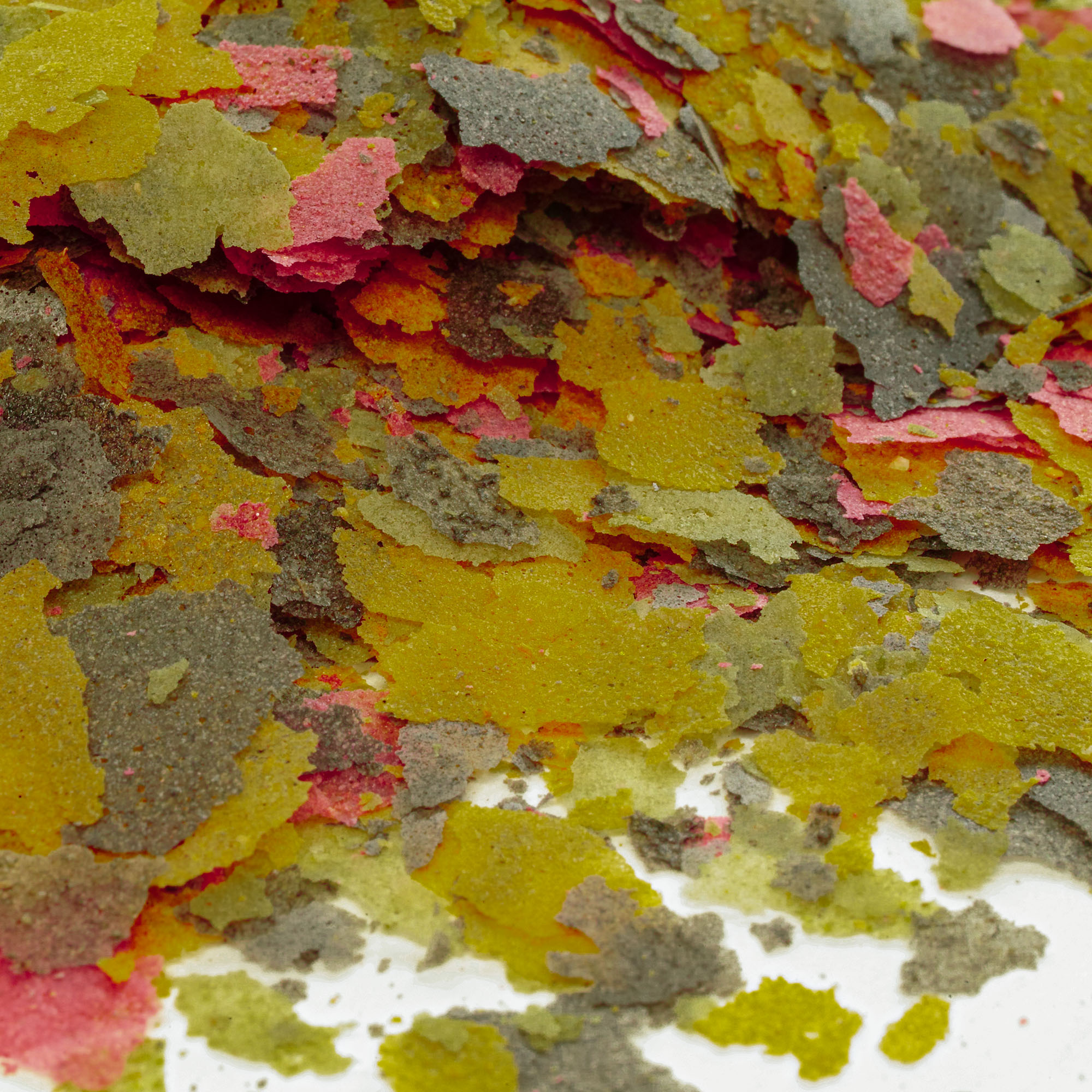 Sakana Premium Fish Flakes Protein Rich Balanced Cold Water Aquarium Fish Food - Picture 18 of 20