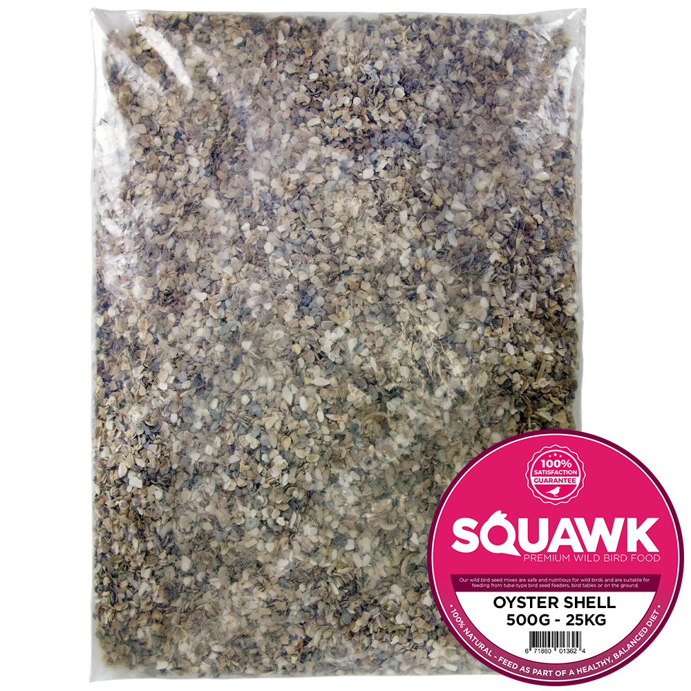 Squawk Hen Sized Oyster Shell Chicken Hen Poultry Nutritious
