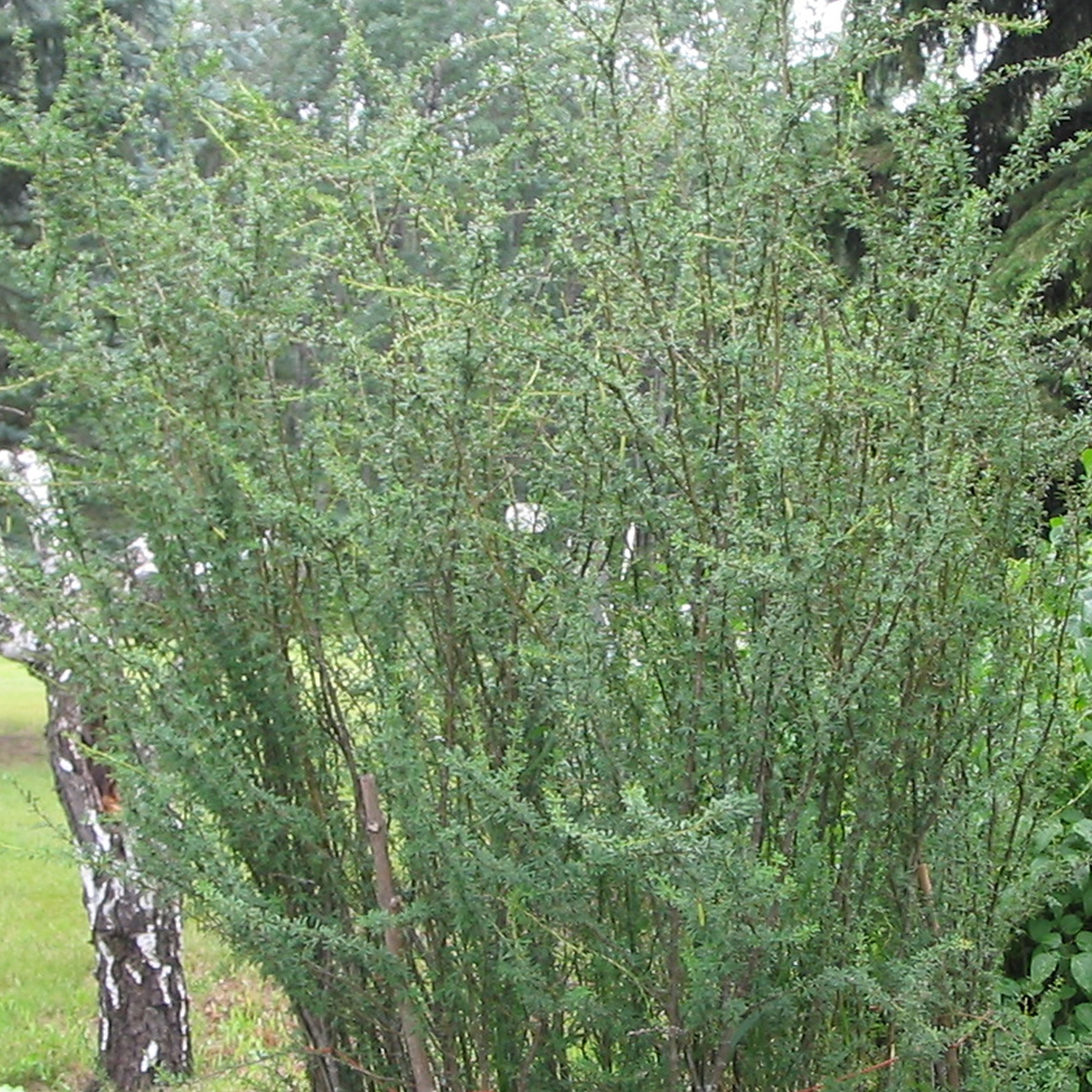 Picture 10 of 14