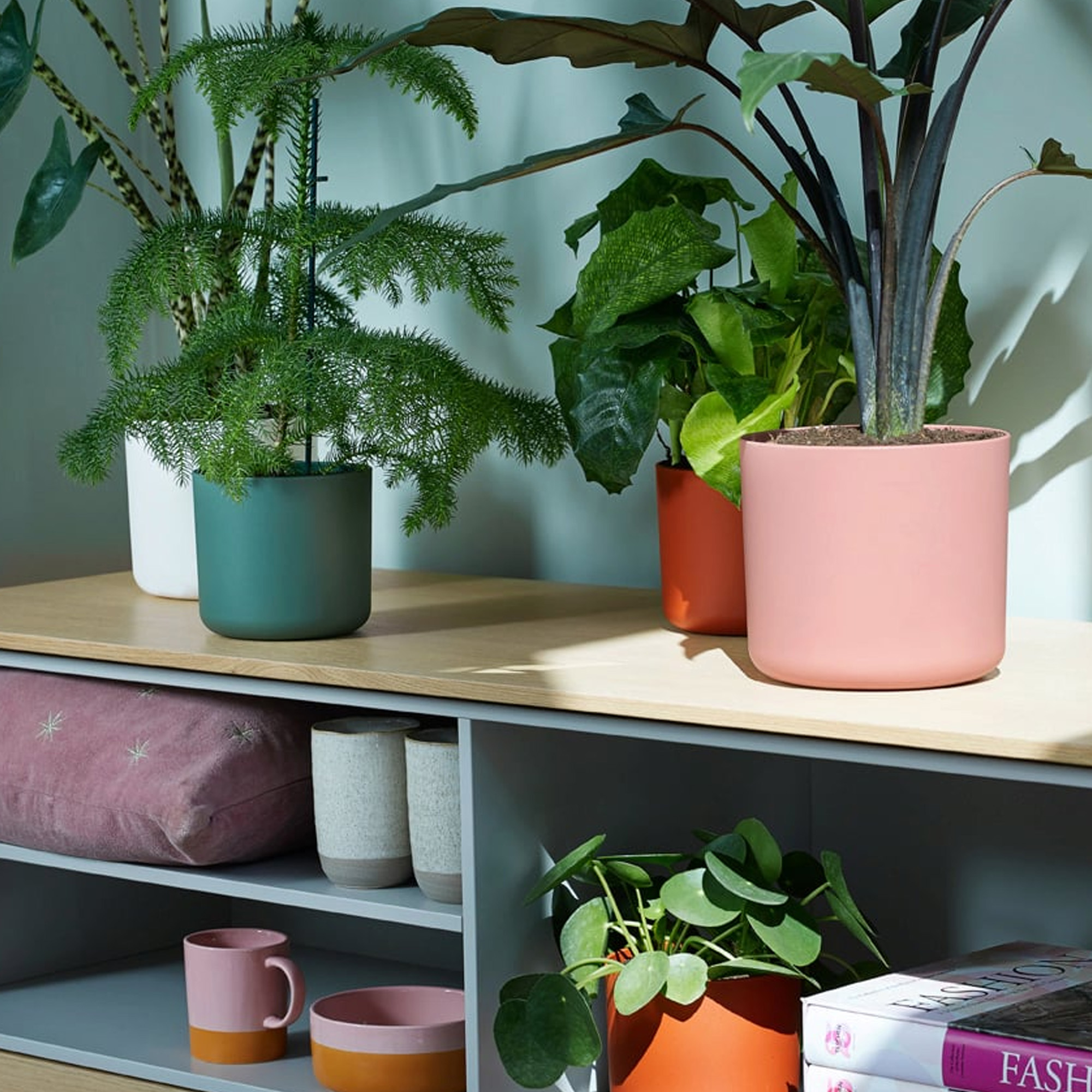 Blue Lisbon Ceramic Round Pot Indoor Plant Pot for House Plants in Home Office - Picture 16 of 17