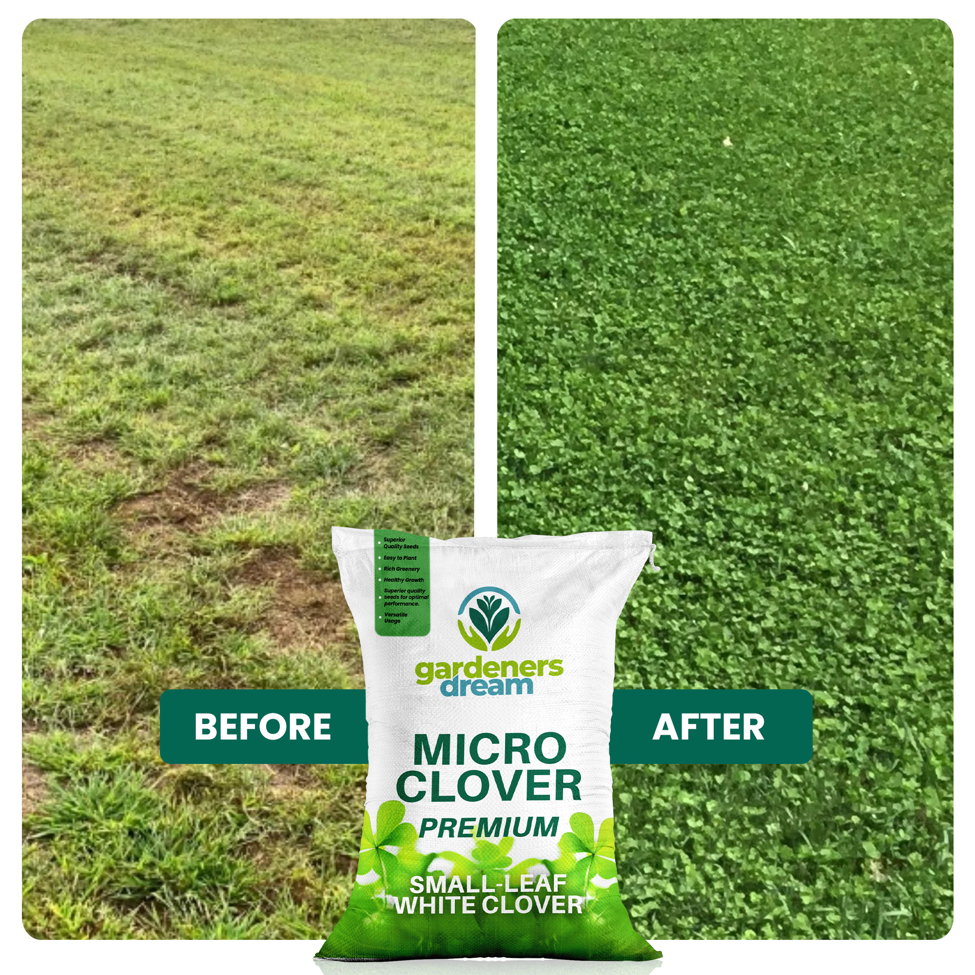 Micro Mixed Clover Grass Seed Eco-Friendly Drought Resistant Lawn Ground Cover - Picture 47 of 54