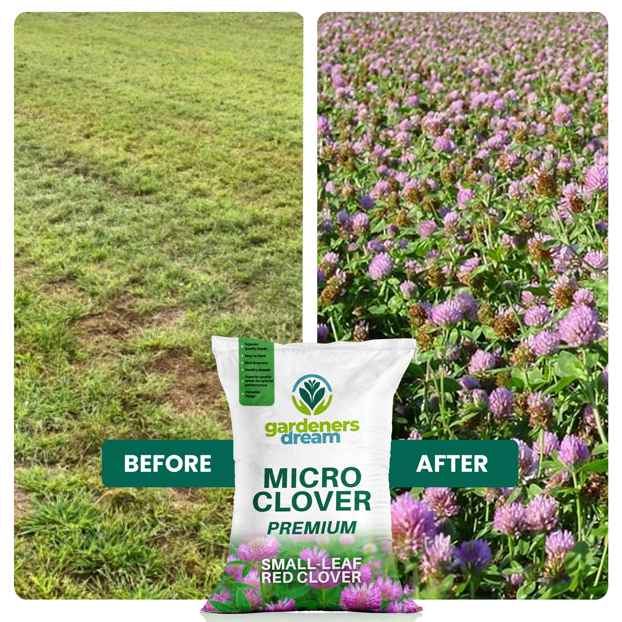 Micro Mixed Clover Grass Seed Eco-Friendly Drought Resistant Lawn Ground Cover - Picture 42 of 54