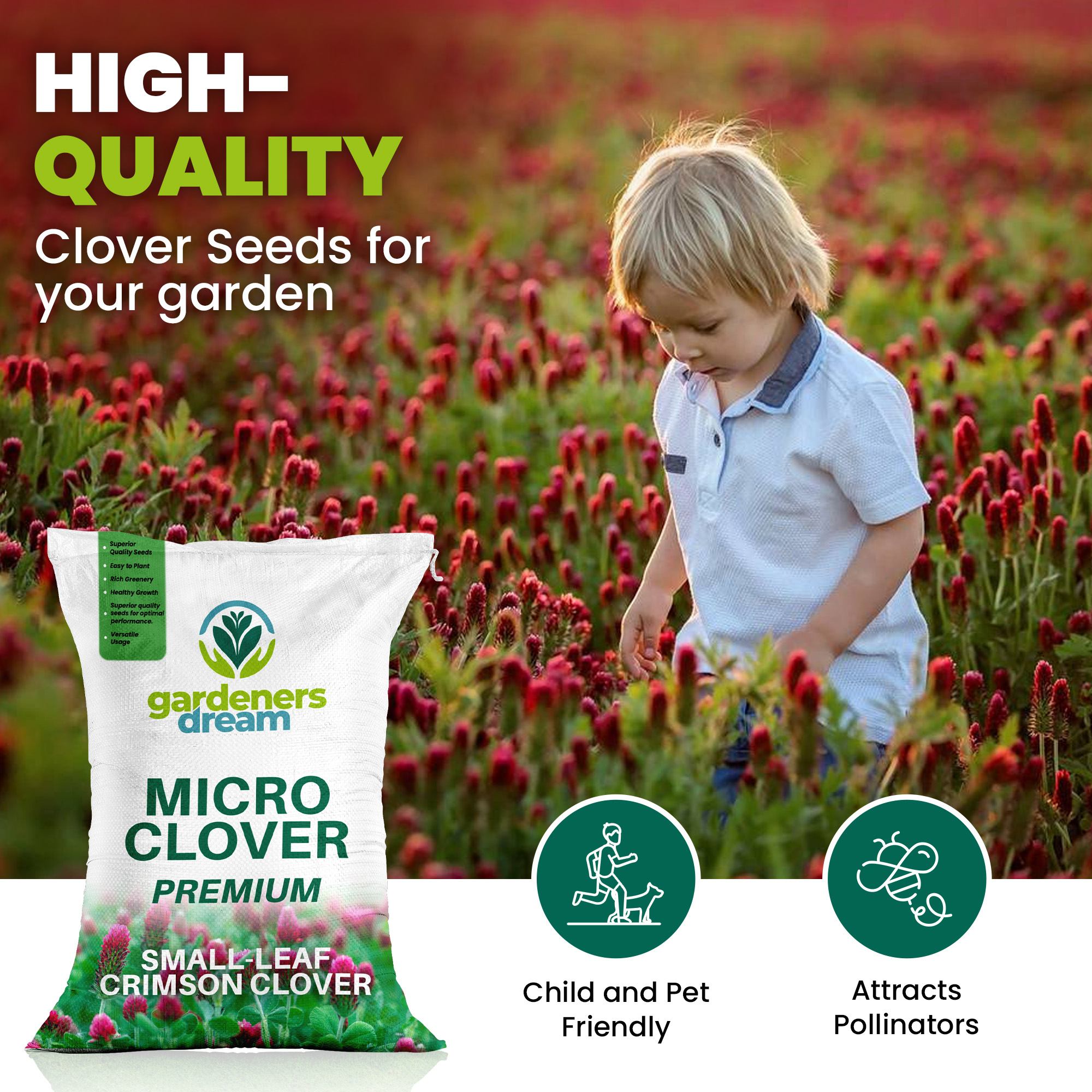 Micro Mixed Clover Grass Seed Eco-Friendly Drought Resistant Lawn Ground Cover - Picture 8 of 54