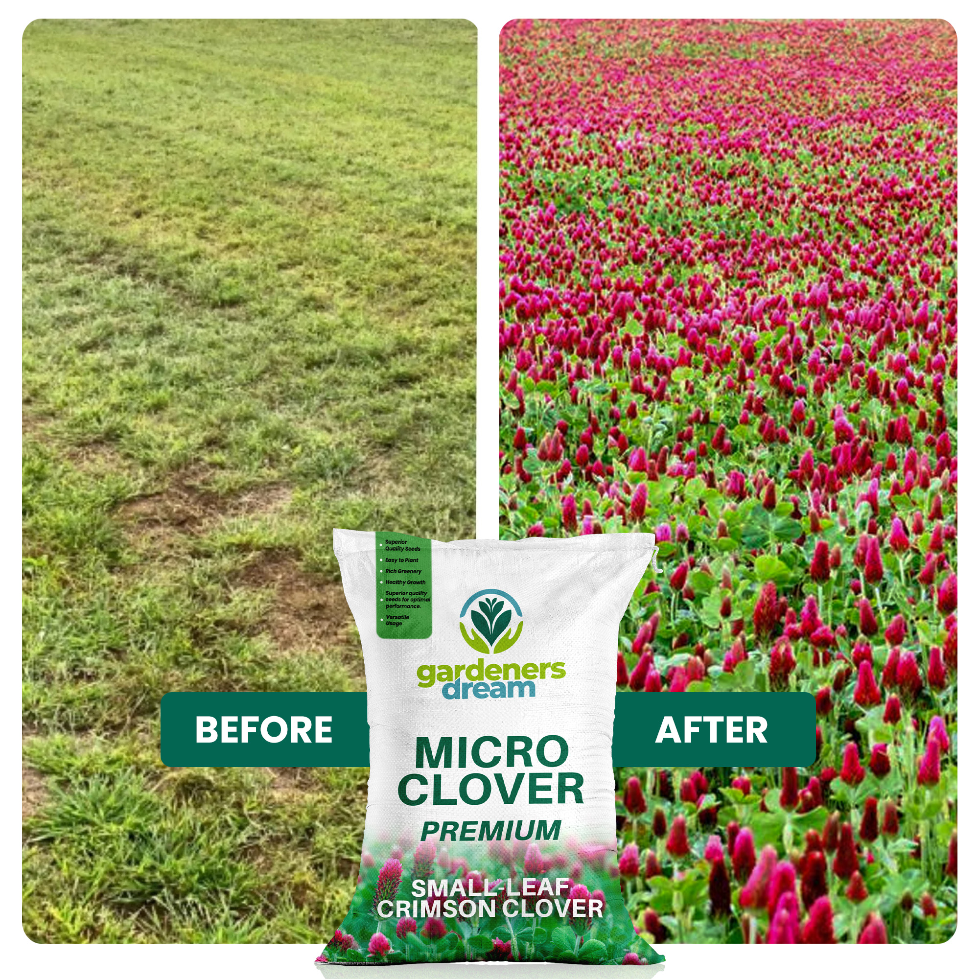 Micro Mixed Clover Grass Seed Eco-Friendly Drought Resistant Lawn Ground Cover - Picture 11 of 54